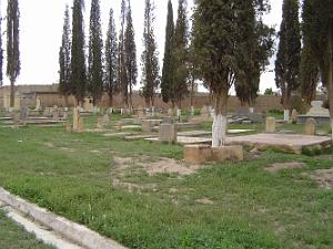 TELAGH LE CIMETIERE 13
